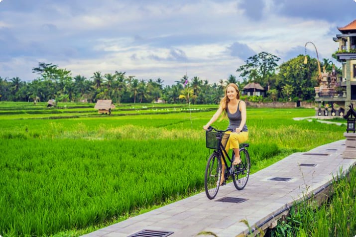 Поездка по рисовым полям на Бали