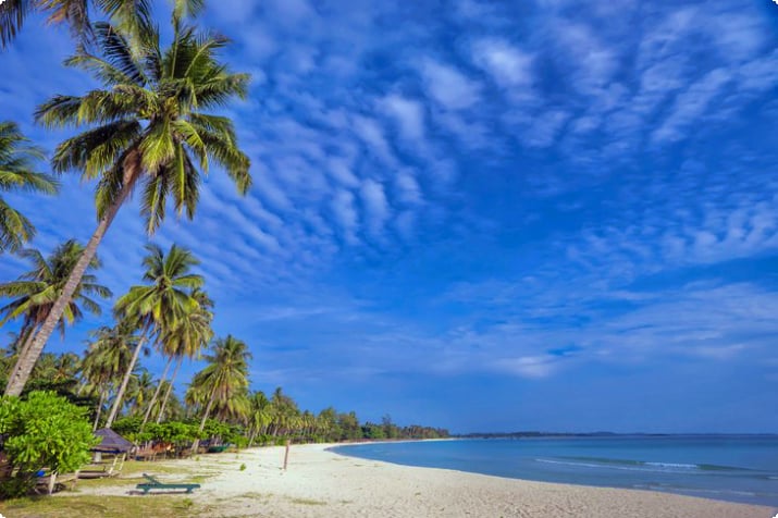 Praia de Trikora com palmeiras