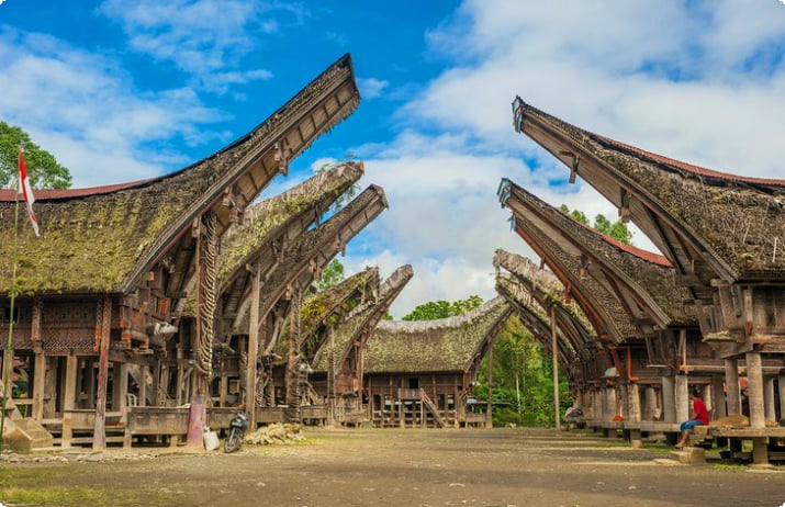 Традиционные дома в Тана Тораджа, Сулавеси