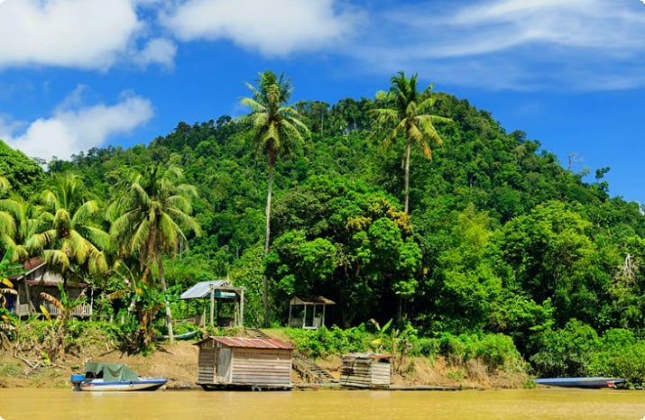 Dayak village on the Kayan River