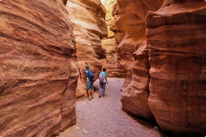 Inside the Red Canyon