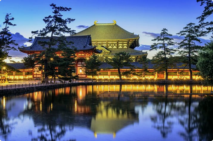 Tempelstadt: Historisches Nara