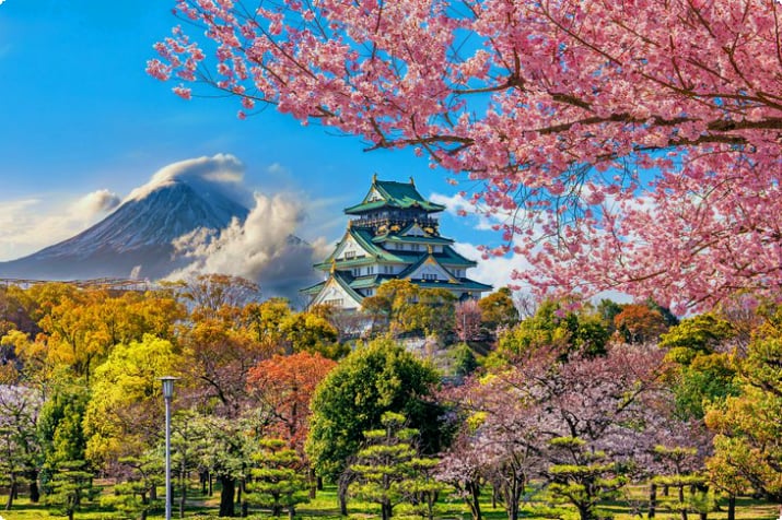 Burg von Osaka und Kirschblüten mit Fuji in der Ferne
