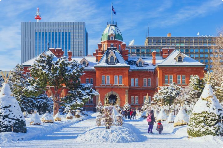 Sapporo im Winter