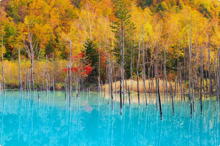 Blauer Teich in Hokkaido mit Herbstfarben