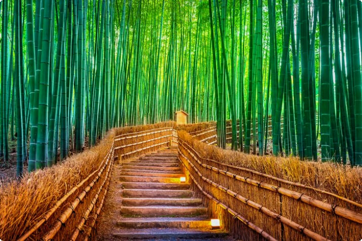 Arashiyama-Bambushain