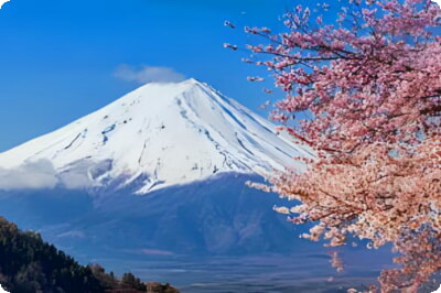 Exploring Mount Fuji: A Visitor's Guide