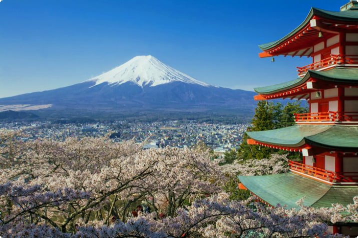 Гора Фудзи и пагода Чурейто с цветущей сакурой