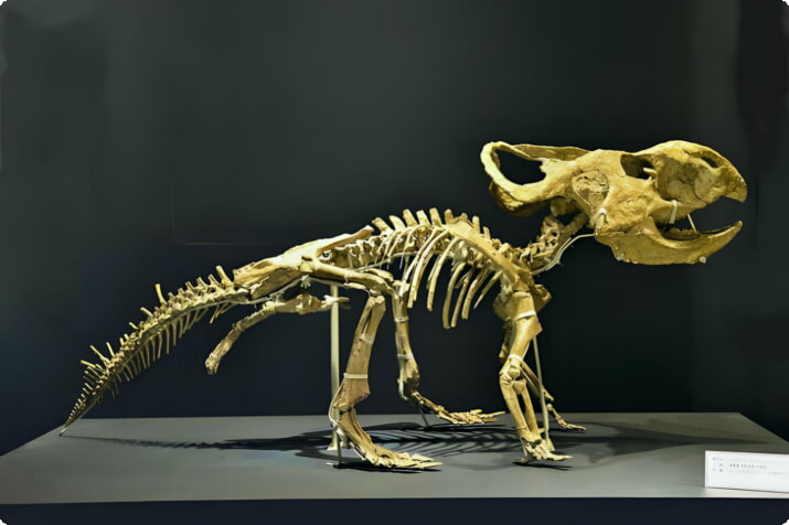 Скелет динозавра в Национальном музее природы и науки