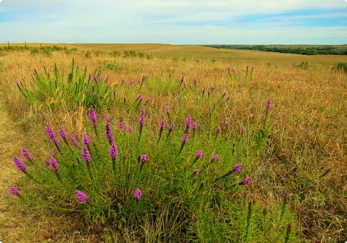 Réserve nationale des prairies à herbes hautes
