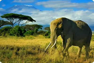 15 самых популярных туристических достопримечательностей Кении