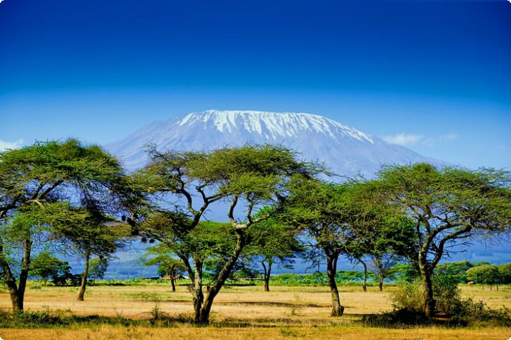 Национальный парк Амбосели и гора Килиманджаро вдалеке