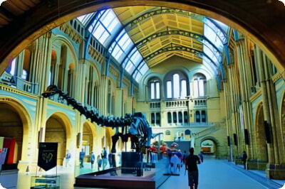7 Sehenswürdigkeiten und Aktivitäten im Londoner Natural History Museum