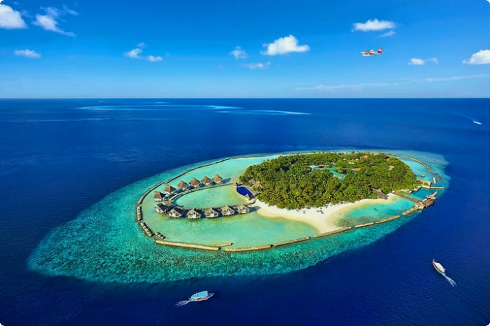 Источник фото: Ellaidhoo Maldives by Cinnamon