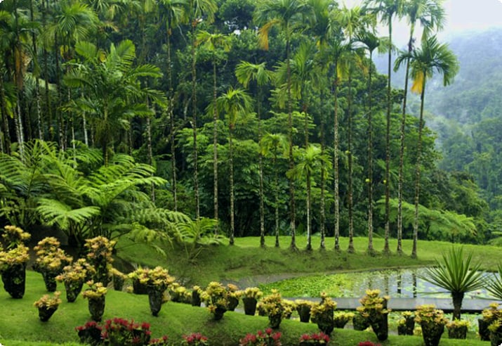 Ботанический сад Балата