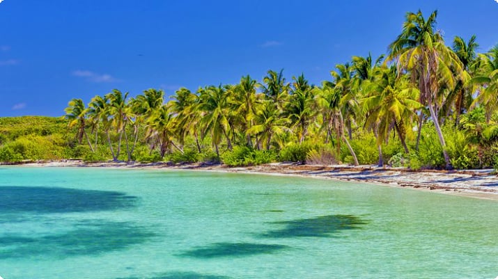 Tropisk strand på Isla Contoy