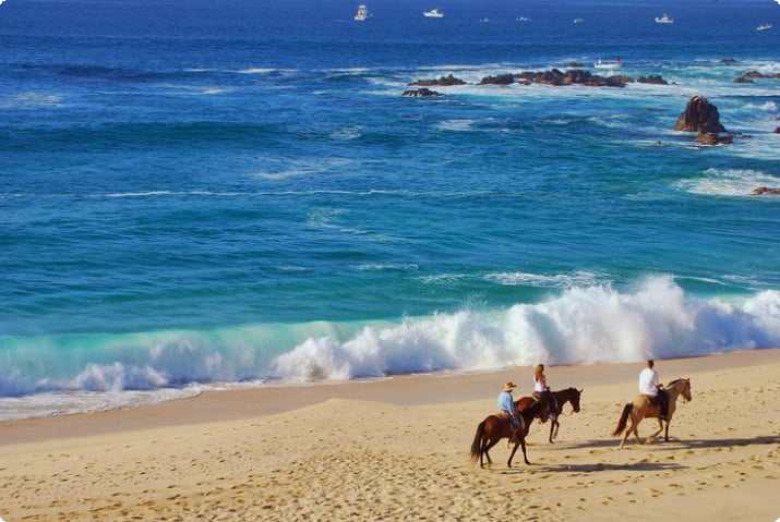 Ridning på heste på stranden i Cabo San Lucas