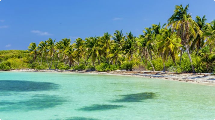 Тропический пляж на острове Контой