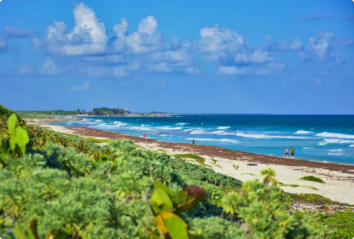 Playa Punta Morena