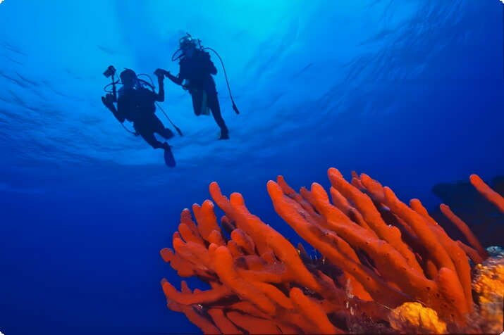 Divers off Cozumel