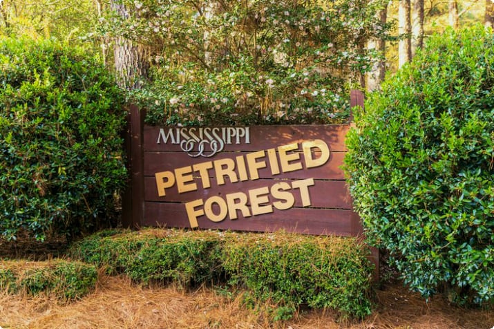 Mississippin kivettynyt metsä