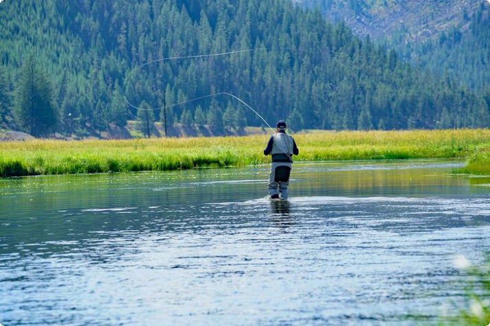 Fly fisherman on the Madison River