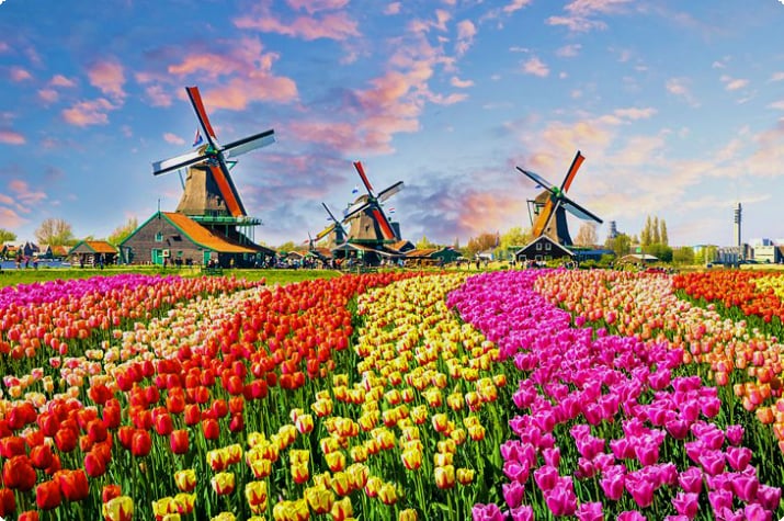 Нидерланды в картинках: 20 красивых мест для фотографирования