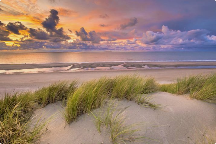 Песчаные дюны на закате в Зеландии