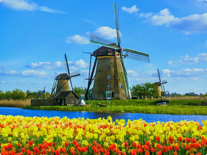 Классический весенний пейзаж в Нидерландах