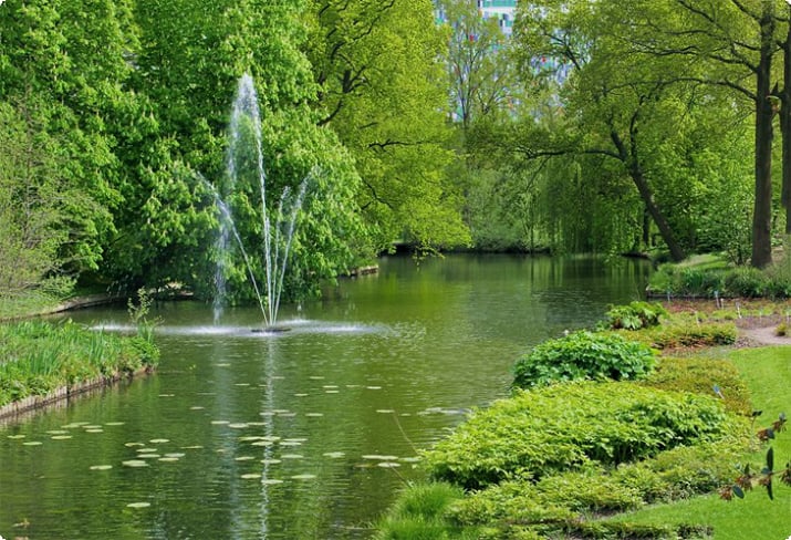 Jardim Botânico da Universidade de Utrecht