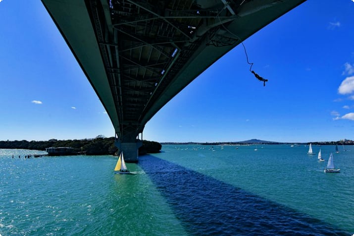 Bungee hyppää Aucklandin satamasillalta