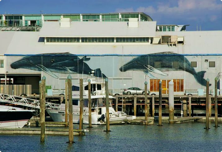 Voyager, Новозеландский морской музей