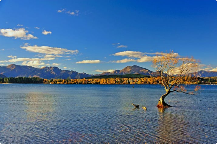 Jezioro Wanaka