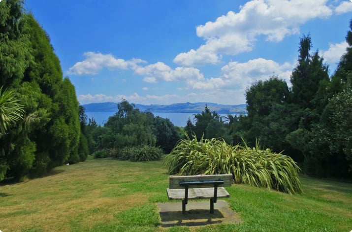 Вид на озеро Таупо из ботанического заповедника Вайпахихи