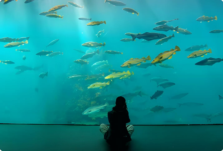 Ålesund Aquarium