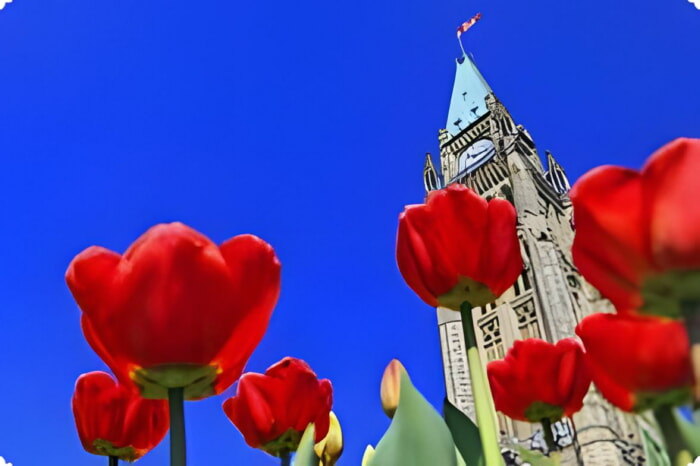 Übernachten in Ottawa: Die besten Gegenden und Hotels