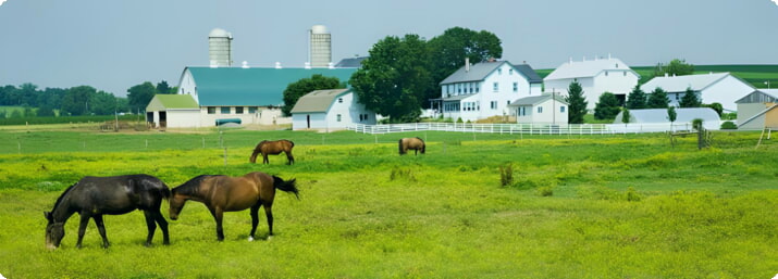 Amish farm nära Intercourse, PA