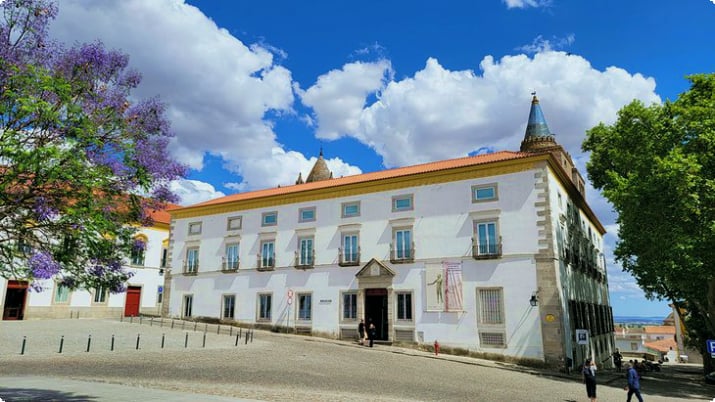 Evora Müzesi (Évora Müzesi)