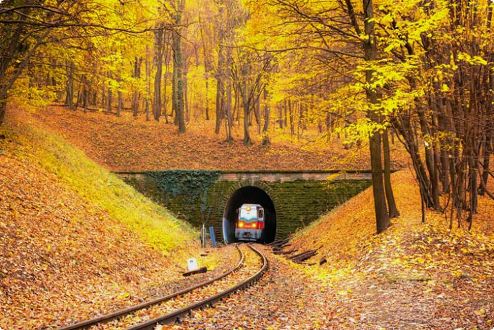 Поезд едет через венгерские леса осенью
