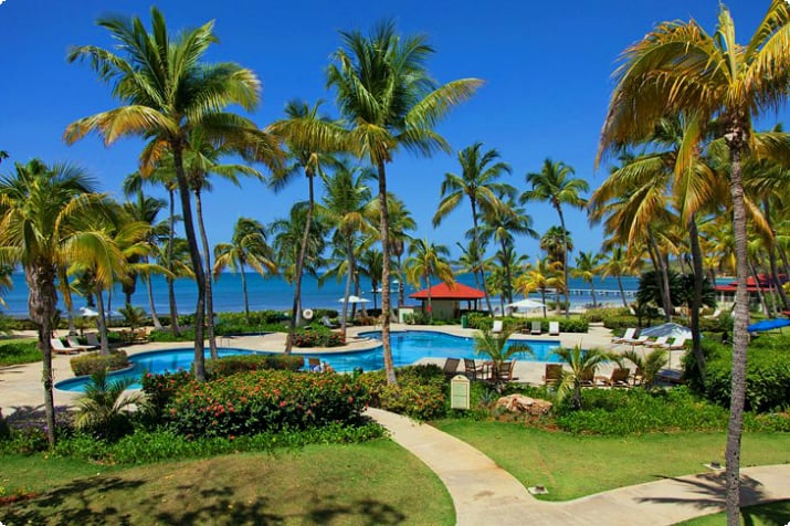 Fotokilde: Copamarina Beach Resort & Spa