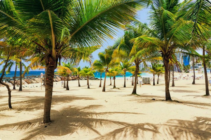 Пальмы на пляже Кондадо