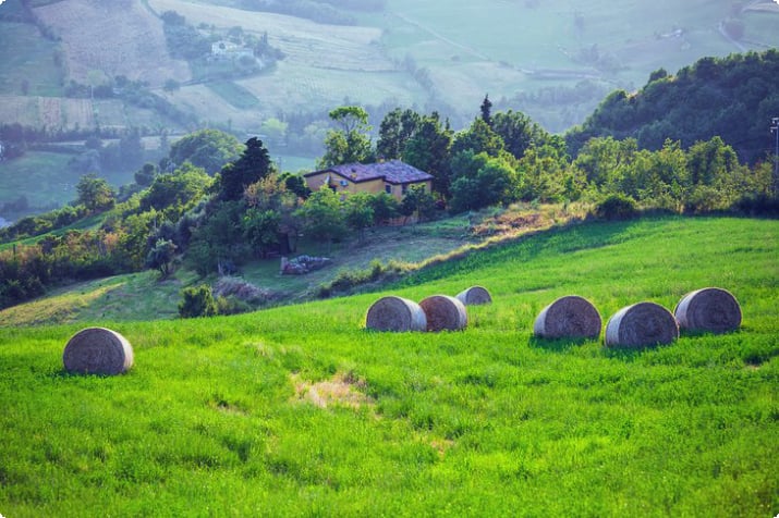 Landbouwgrond in San Marino