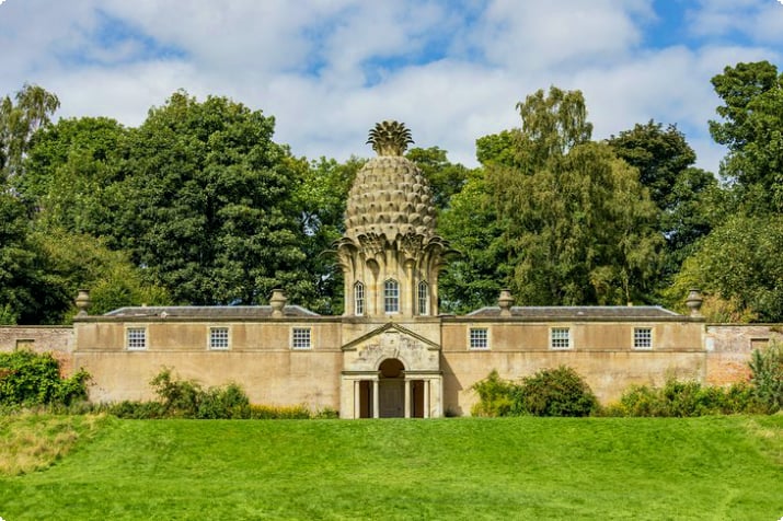 The Dunmore Pineapple