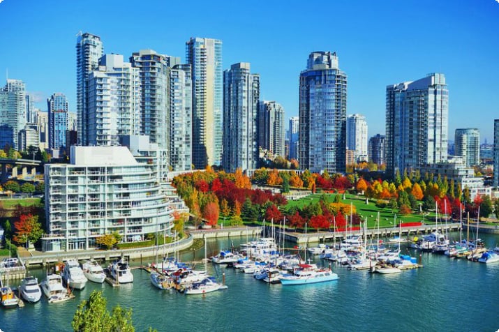 False Creek, Vancouver'da sonbahar renkleri