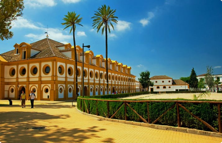 Andalusische tradities in Jerez de la Frontera