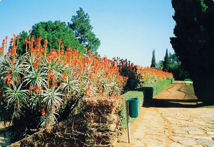 Национальный ботанический сад Претории, Гаутенг