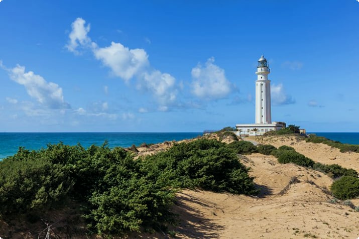 Cape Trafalgar fyrtårn