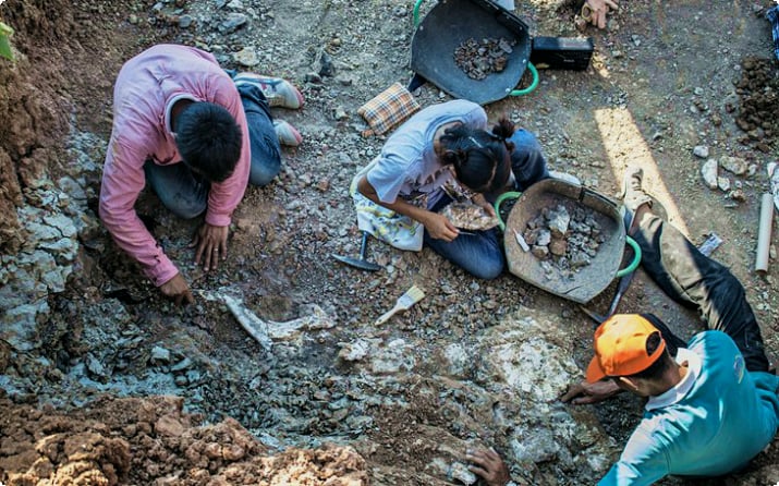 Палеонтологи обнаруживают раскопки