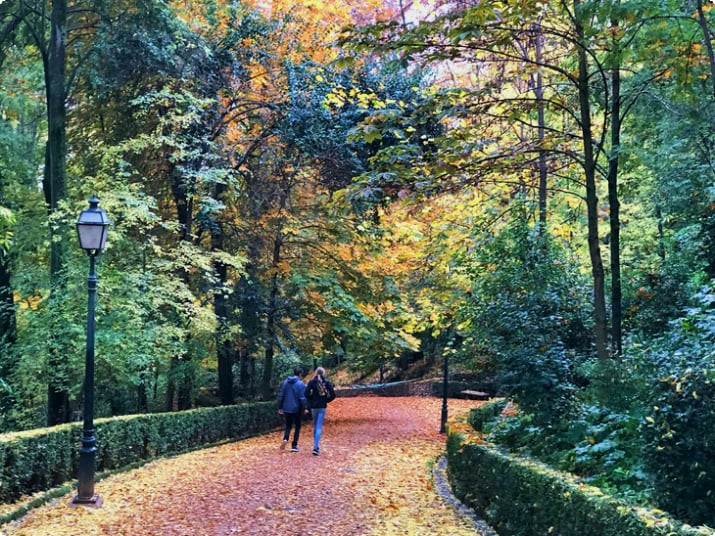 Осенние цвета на семейной прогулке из Альгамбры