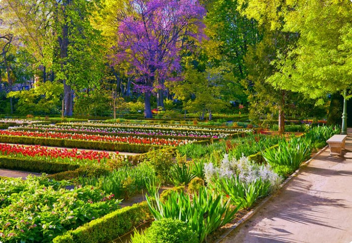Real Jardín Botánico (Kuninkaallinen kasvitieteellinen puutarha)
